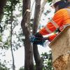image:imageMakita XCU14Z 18V LXT LithiumIon Brushless Cordless 6 Pruning Saw Tool Only