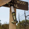 image:imageMakita DML806 18V LXT LithiumIon Cordless LED LanternFlashlight ToolCamo Green