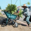 image:imageMakita XUC01X1 36V 18V X2 LXT Brushless PowerAssisted Wheelbarrow Tool OnlyWheelbarrow  Kit