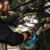 image:imageMakita XCU10Z 18V LXT LithiumIon Brushless Cordless 12 Top Handle Chain Saw Tool OnlyChain Saw  Tool Only