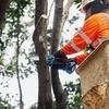 image:imageMakita XCU14SR1 18V LXT LithiumIon Brushless Cordless 6 Pruning Saw Kit 20Ah