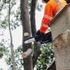 image:imageMakita XCU14SR1 18V LXT LithiumIon Brushless Cordless 6 Pruning Saw Kit 20Ah