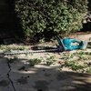 image:imageMakita XHU10Z 18V LXT LithiumIon Cordless 24 Hedge Trimmer Tool Only