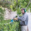 image:imageMakita XNU02T LithiumIon Brushless Cordless 50Ah 18V LXT 24 Pole Hedge Trimmer Kit TealPole Hedge Trimmer Kit